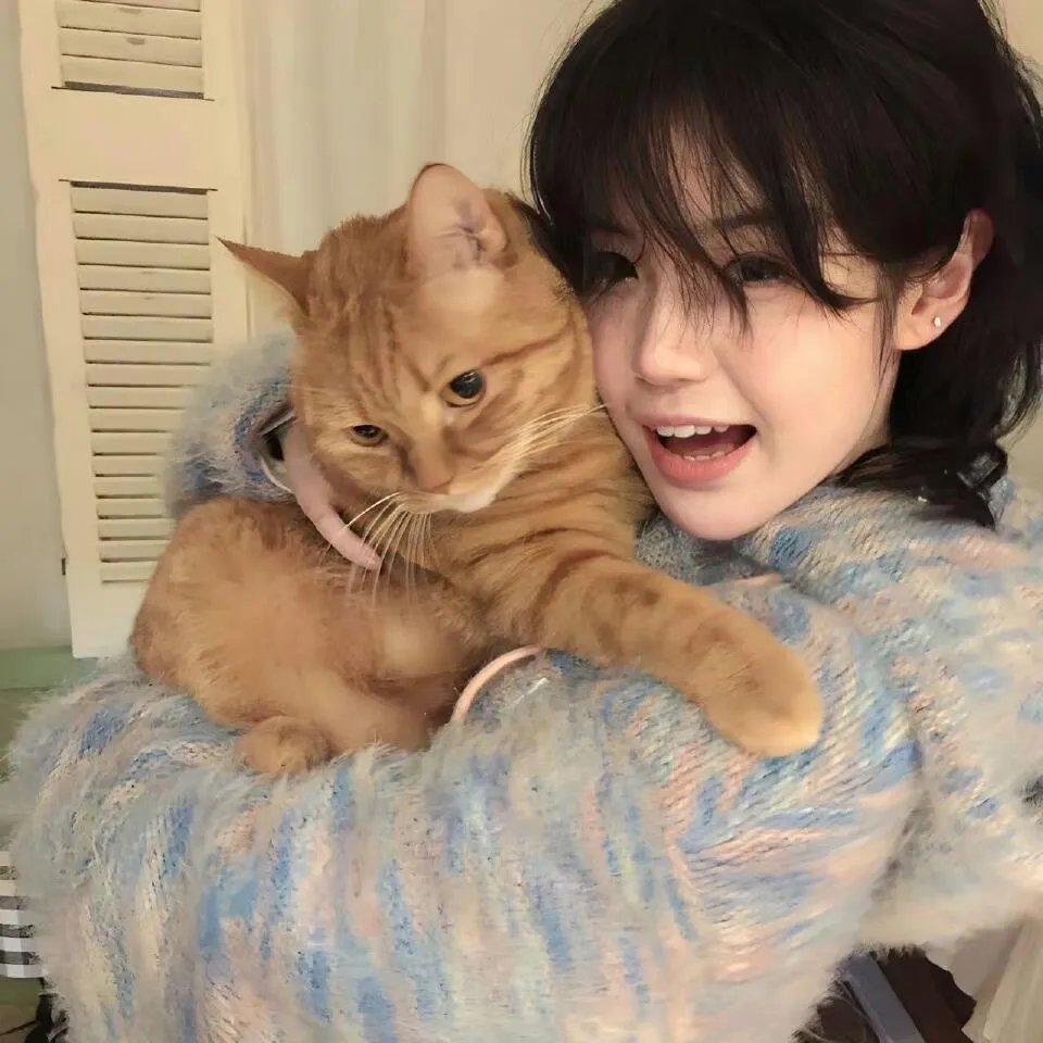 欢乐湾区年夜饭——2023除夕特别节目